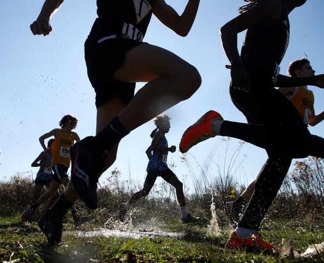 Runners splash through a swampy stretch of the Bellevue State Park course of the Delaware Sports Club High School Cross Country Open Nov. 14, 2020.